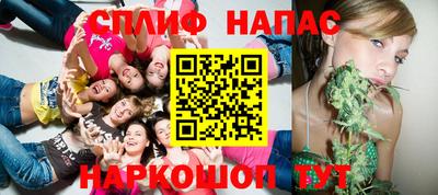 гидра Тара