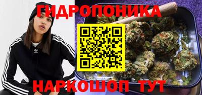 apvp Тверь