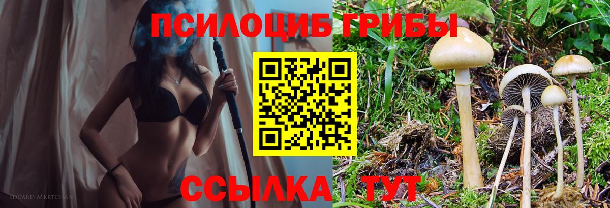 Галлюциногенные грибы прущие грибы  Вход с VPN  Ревда  Галлюциногенные грибы мицелий 