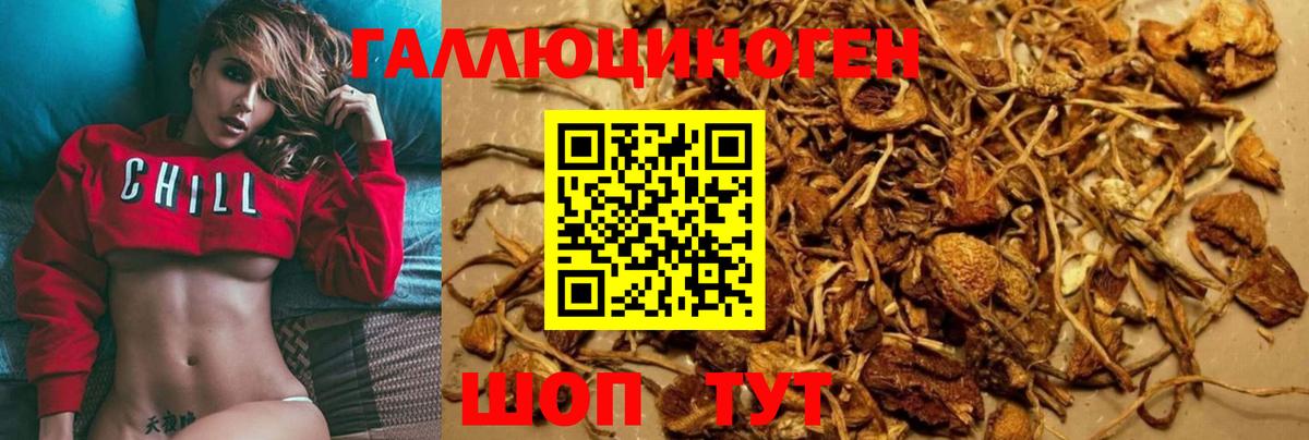 Псилоцибиновые грибы ЛСД Ревда